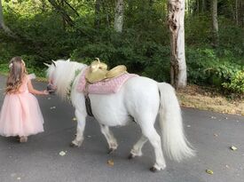 Dreamland Ponies - Pony Rides - Maple Valley, WA - Hero Gallery 3