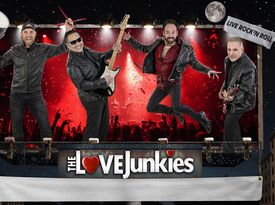 The Love Junkies - Cover Band - Commerce Township, MI - Hero Gallery 1