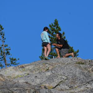 Gallery Photo 1