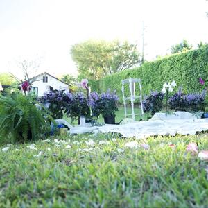 Gallery Photo 13