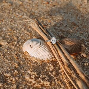 Gallery Photo 29