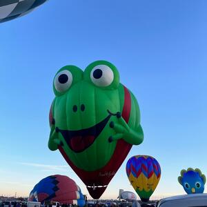 Gallery Photo 5
