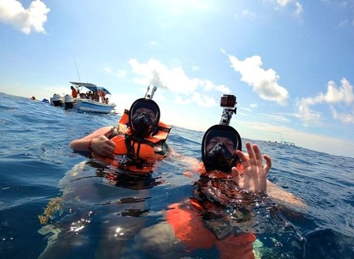 Neil nearly drowned but we got to see whale sharks in Mexico!