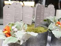 Greige-colored escort card display in moss