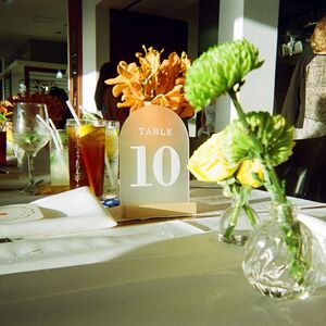 Gallery Photo 198