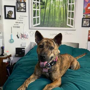 Gallery Photo 38