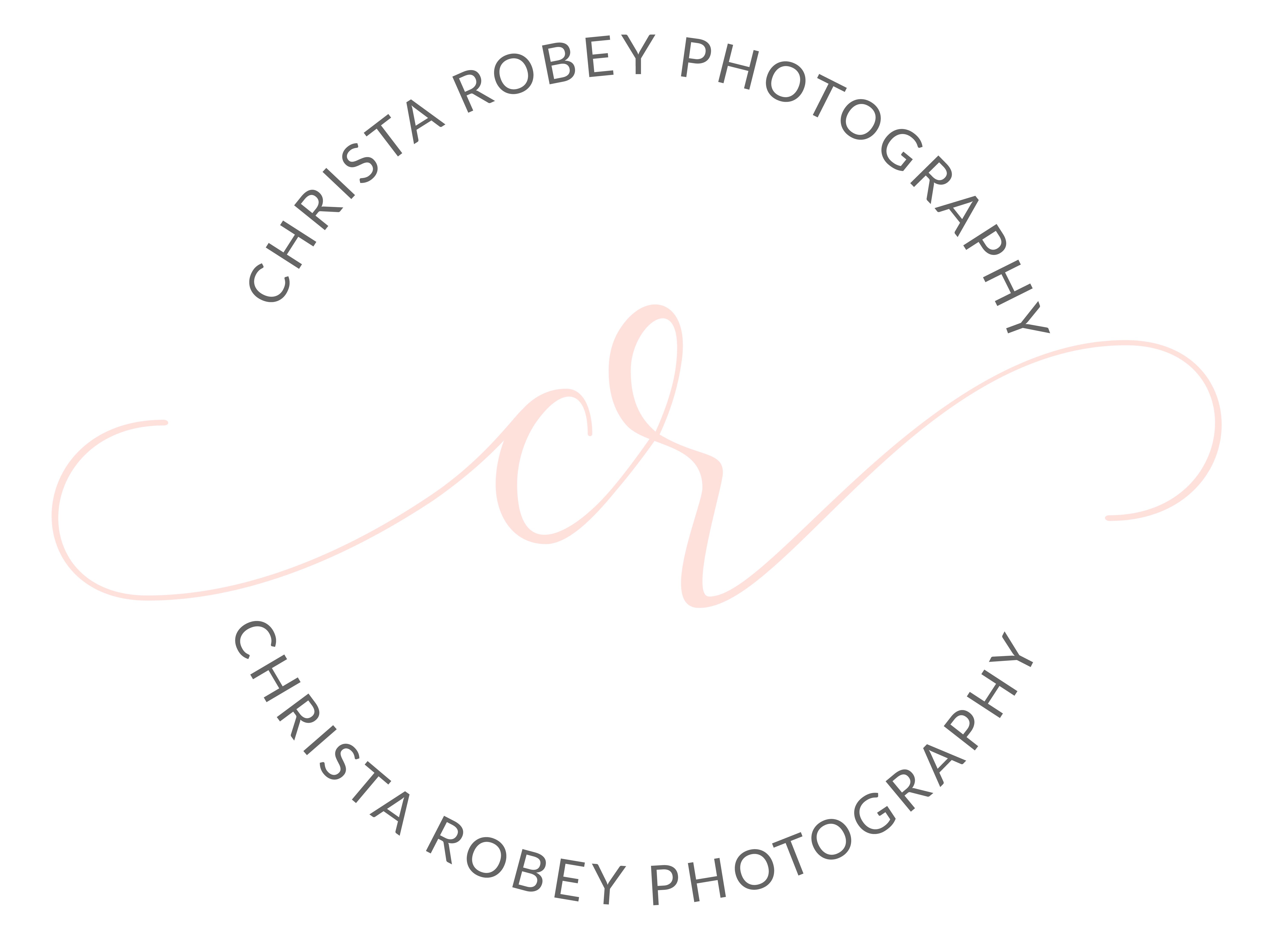 Christa Robey Photography | Wedding Photographers - The Knot