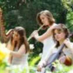 The Soenen Sisters - Harp, Flute, and Cello, profile image