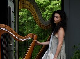 Rachel Clemente - Harpist - Brattleboro, VT - Hero Gallery 2