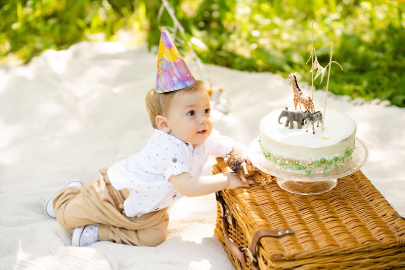 Wild one smash cake safari themed birthday party idea