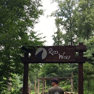 Gallery Photo 22