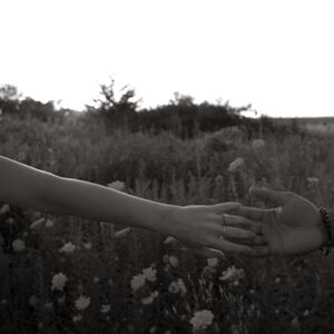 Gallery Photo 8