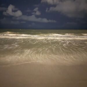 Gallery Photo 48