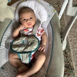Gallery Photo 25