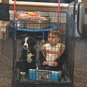 Gallery Photo 28