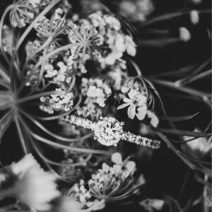 Gallery Photo 52
