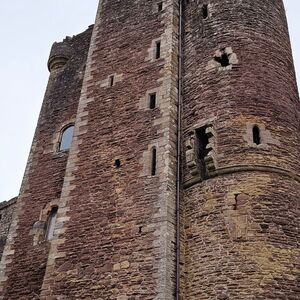 Gallery Photo 114