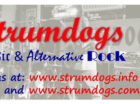 The Strumdogs - Cover Band - Charleston, SC - Hero Gallery 1