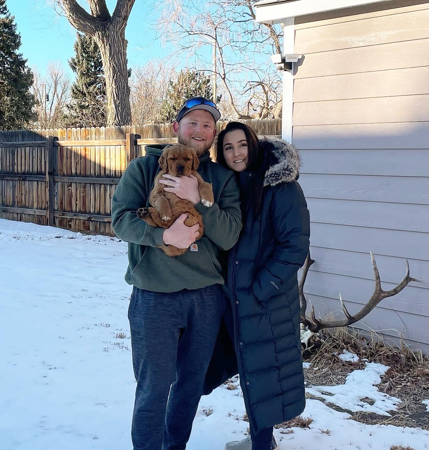 We added the most perfect puppy to our family , Goose! 