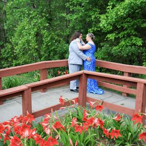 Gallery Photo 142