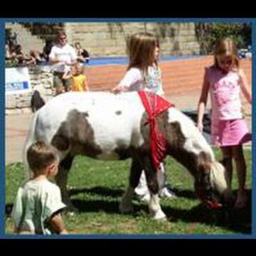 The Tiny Trotters- Pony Rides - Animal For A Party - Pine Grove, CA - Hero Main