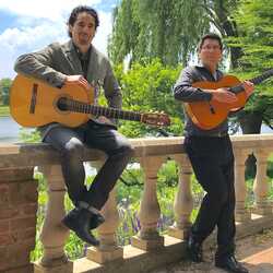 Flamenco/Spanish Guitar Duo, Trio, profile image