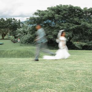 Gallery Photo 61