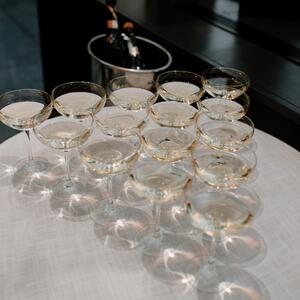 Gallery Photo 451
