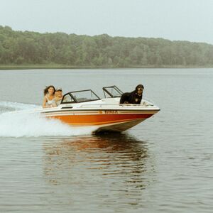 Gallery Photo 43