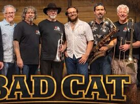 Curvd Aire - Classic Rock Band - Lotus, CA - Hero Gallery 2