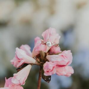 Gallery Photo 58