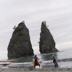 Gallery Photo 33