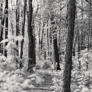 Gallery Photo 4