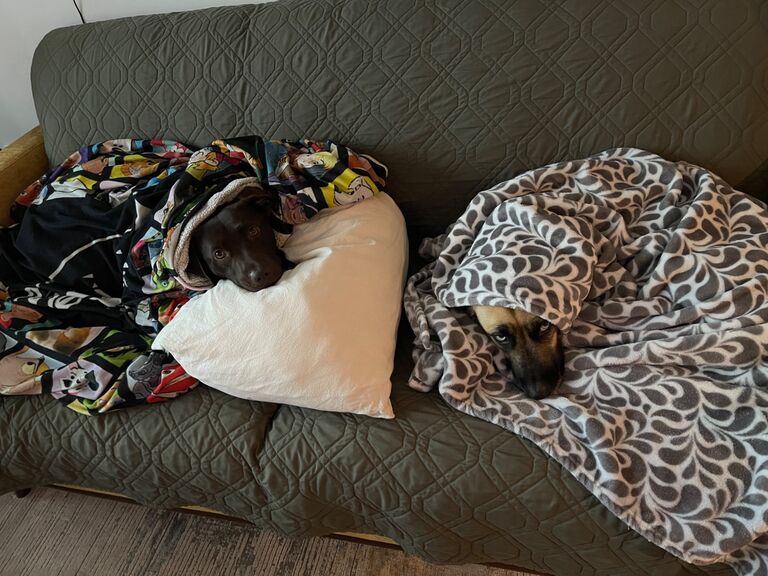 Always nap time.
