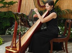 Mary Keppeler - Harpist - Milwaukee, WI - Hero Gallery 3