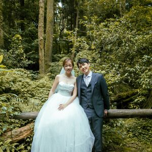 Gallery Photo 4