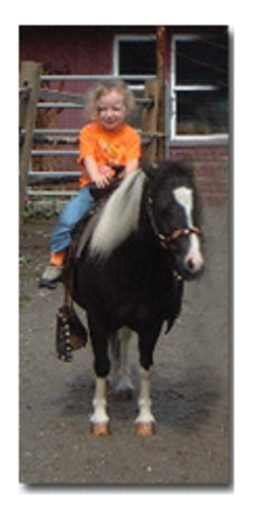 Bronx Equestrian Center - Pony Rides - Bronx, NY - Hero Main