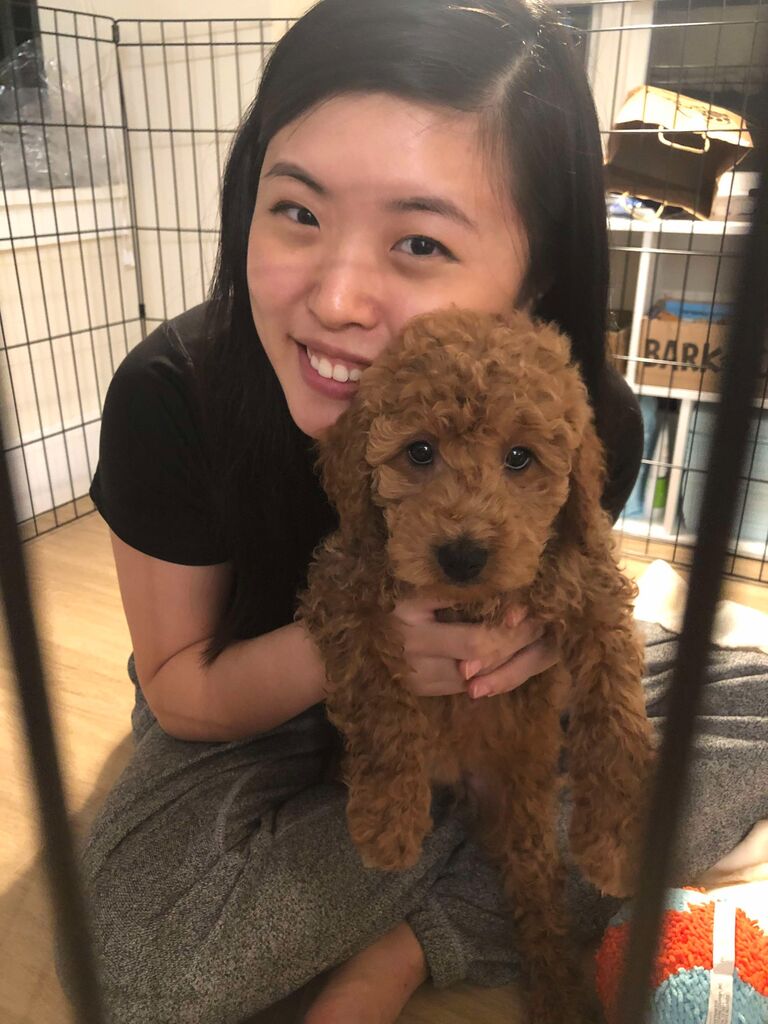 Miso joins our family.