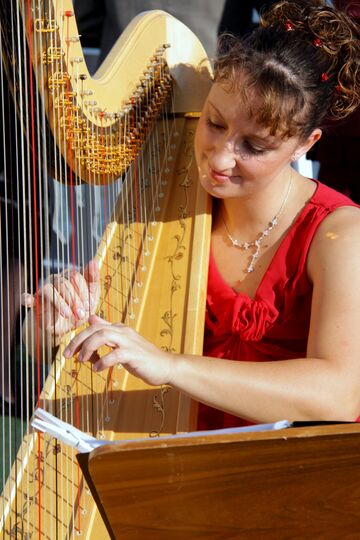 HarpingSwiss Harpist and Singer - Harpist - Detroit, MI - Hero Main