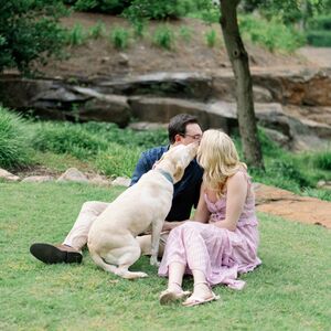 Gallery Photo 29