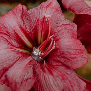 Gallery Photo 40