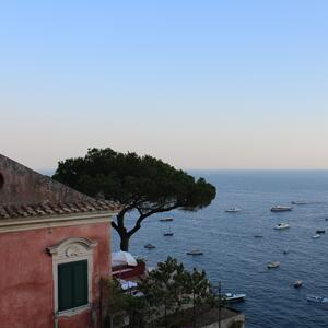 Gallery Photo 16