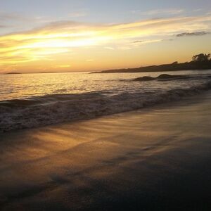 Gallery Photo 8