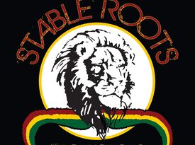 Stable Roots Reggae Band - Reggae Band - Waynesboro, VA - Hero Gallery 2