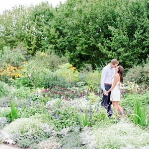 Gallery Photo 8