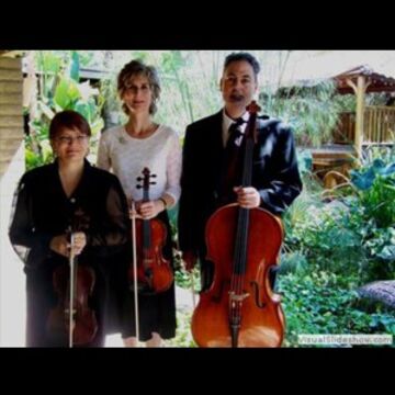 Chandler String Quartet - String Quartet - Phoenix, AZ - Hero Main