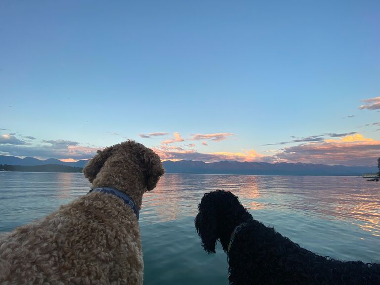 Bode and Marcus taking in the sunset at their favorite place on Earth - Flathead Lake. We can't wait for you all to experience this as well!