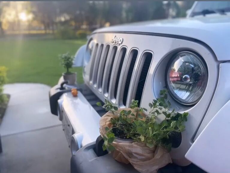 Blake took Michelle to MacDill Air Force Base for the first time. He bought her flowers and herbs for her garden and she remembers this is when she fell for him for the first time. 
