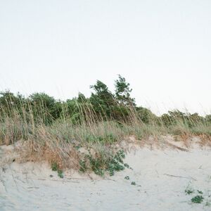 Gallery Photo 53