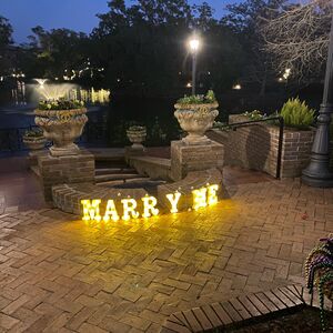 Gallery Photo 24